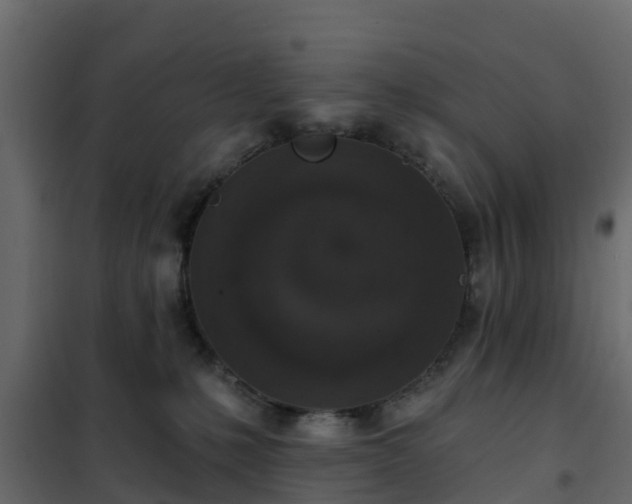 X0000102350231200808081202