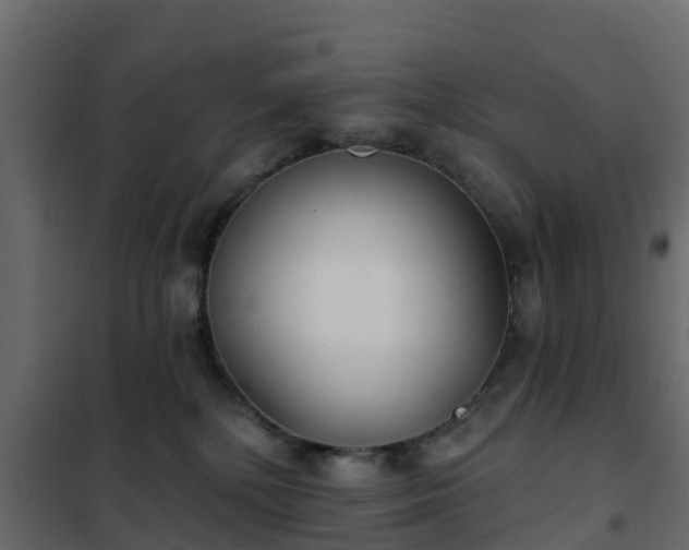 X0000102350232200808081202