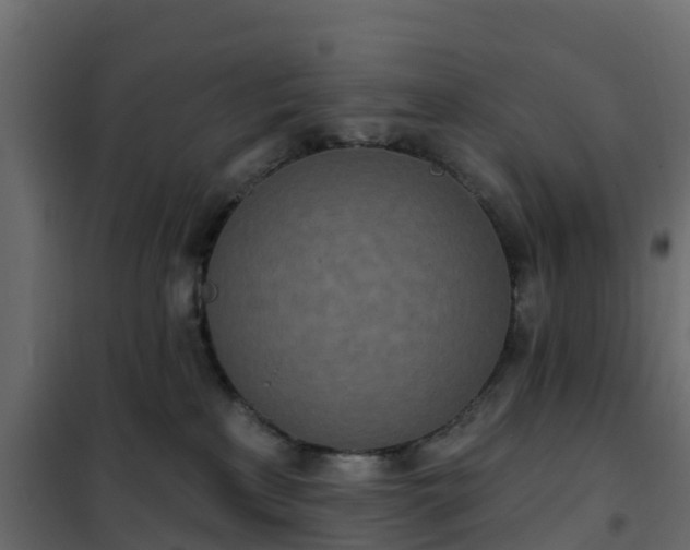 X0000102350233200808081202