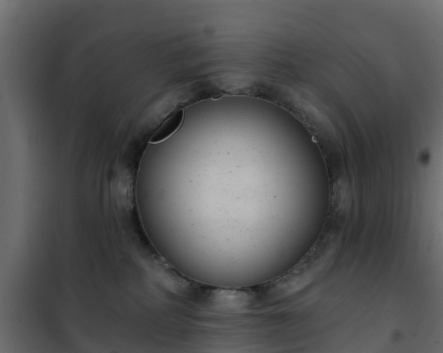 X0000102350234200808081202