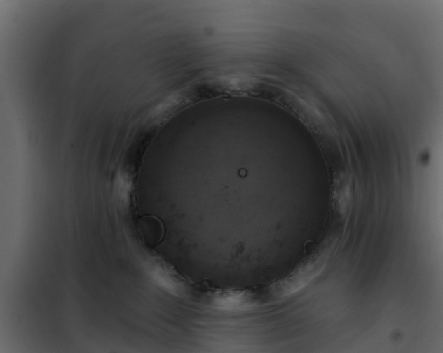 X0000102350235200808081202