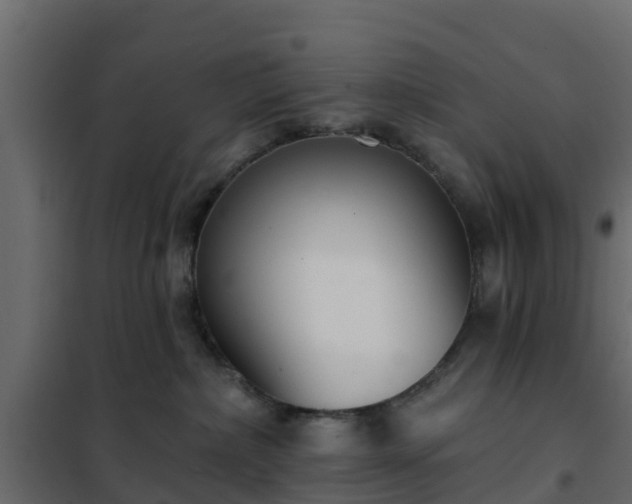 X0000102350236200808081202