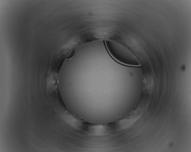 X0000102350237200808081202