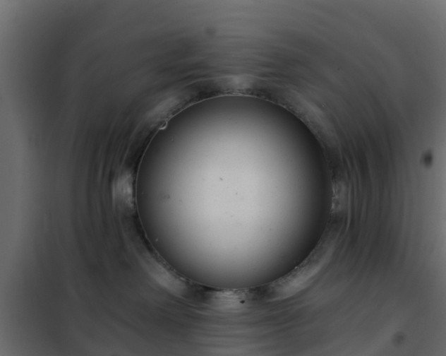 X0000102350238200808081202