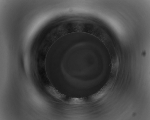 X0000102350239200808081202