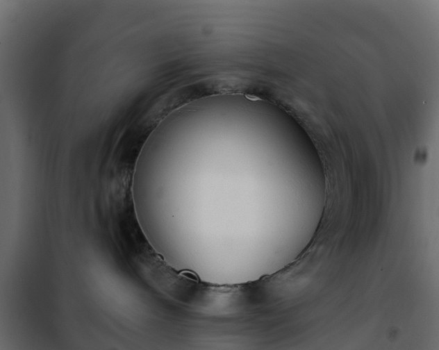 X0000102350240200808081202