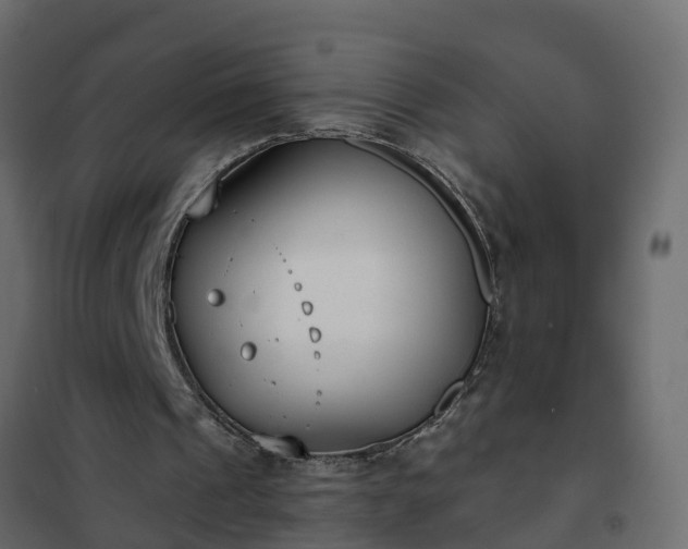 X0000102350241200808081201