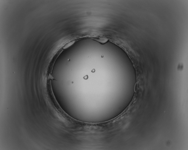 X0000102350242200808081201