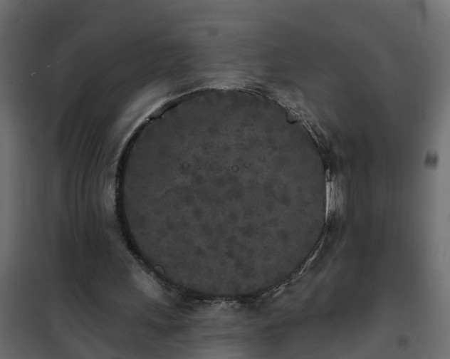 X0000102350243200808081201