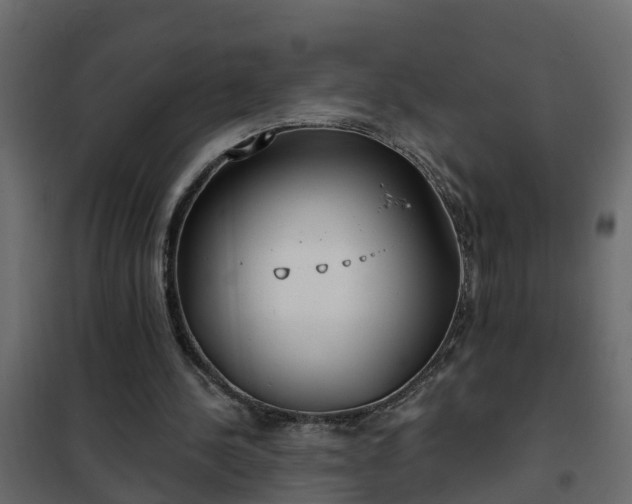 X0000102350244200808081201