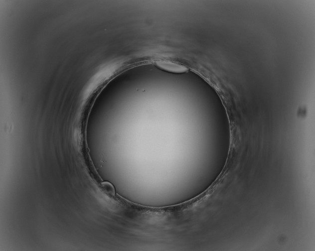 X0000102350245200808081201