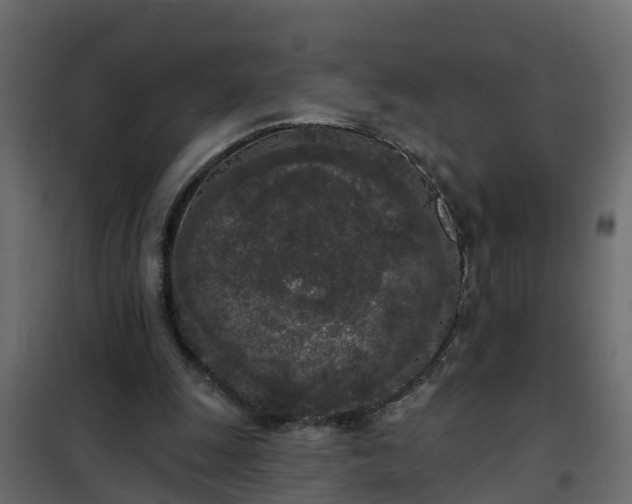 X0000102350247200808081201