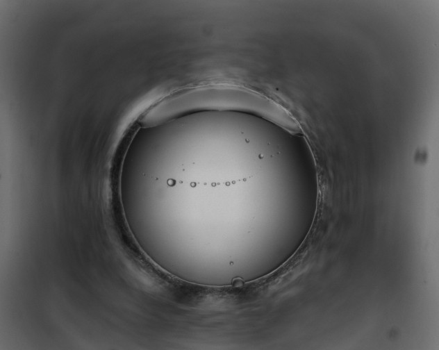 X0000102350248200808081201