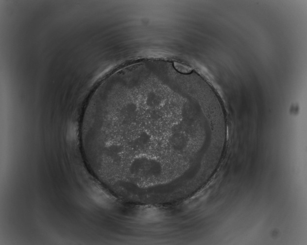 X0000102350249200808081201