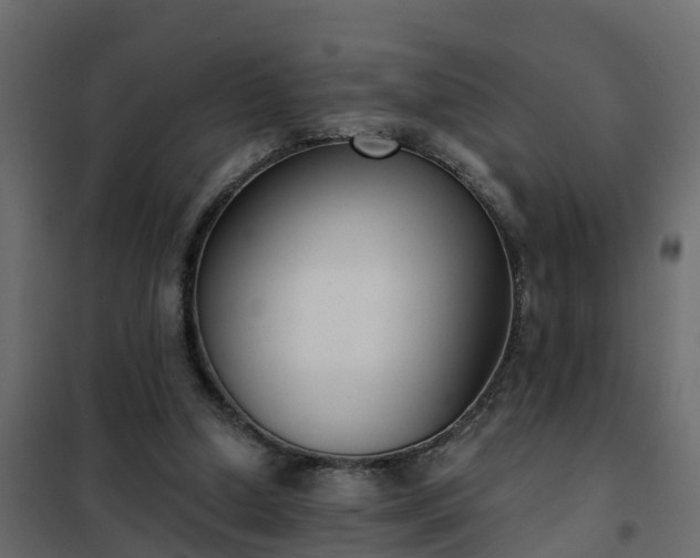 X0000102350250200808081201