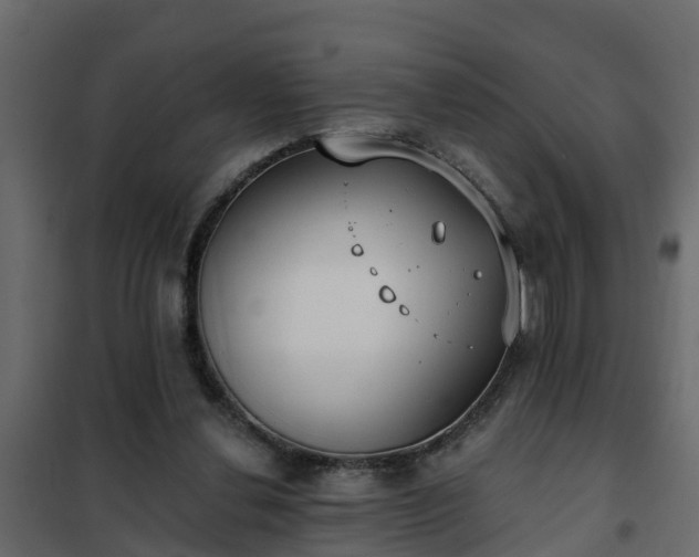 X0000102350252200808081201