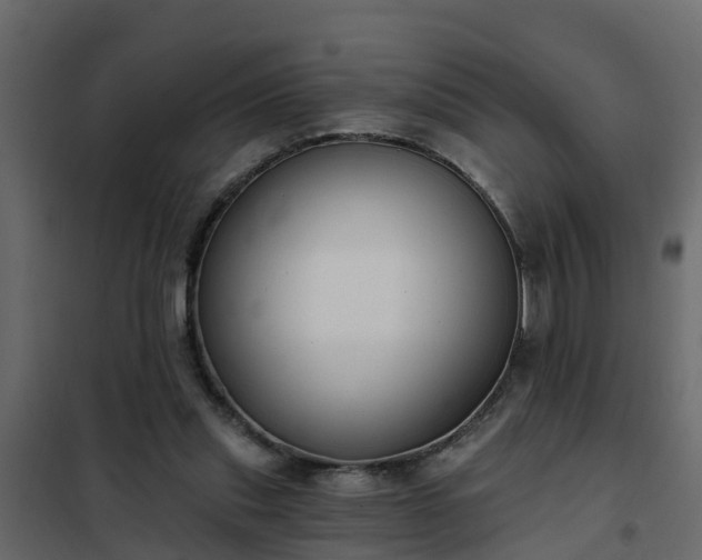 X0000102350253200808081201