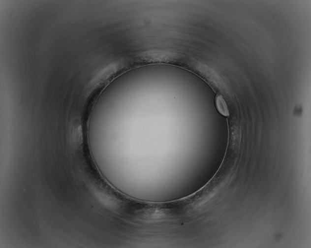 X0000102350254200808081201