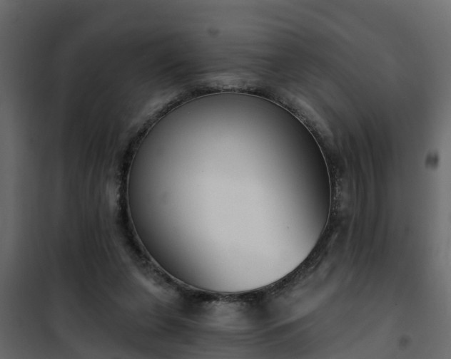 X0000102350255200808081201