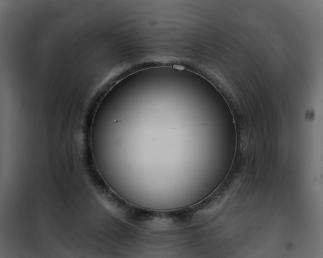 X0000102350256200808081201