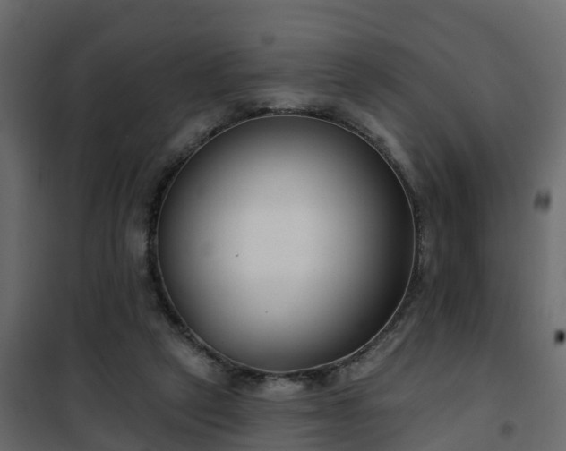 X0000102350257200808081201