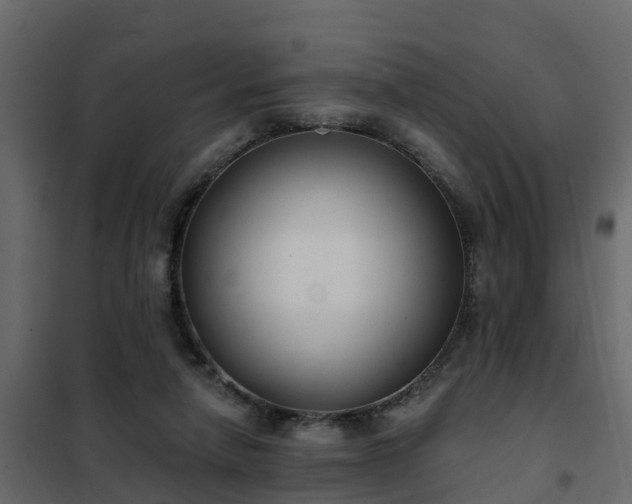 X0000102350258200808081201