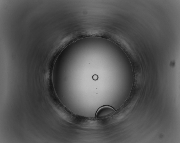 X0000102350260200808081201