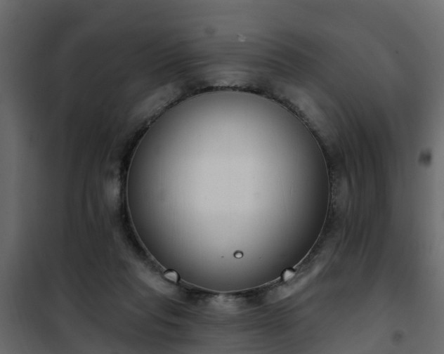 X0000102350261200808081201