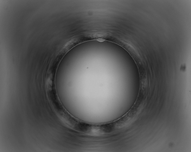 X0000102350264200808081201