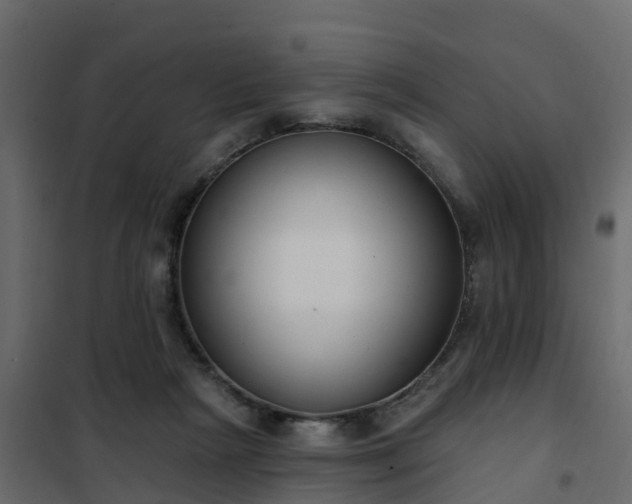 X0000102350265200808081201