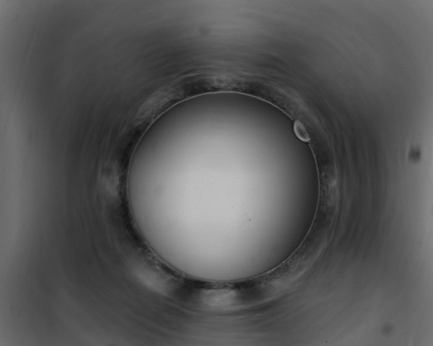 X0000102350266200808081201