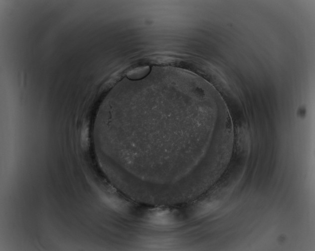 X0000102350267200808081201