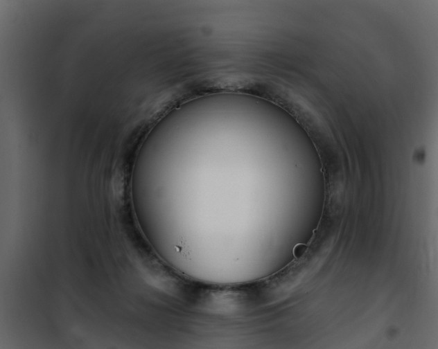 X0000102350268200808081201