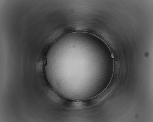 X0000102350269200808081201