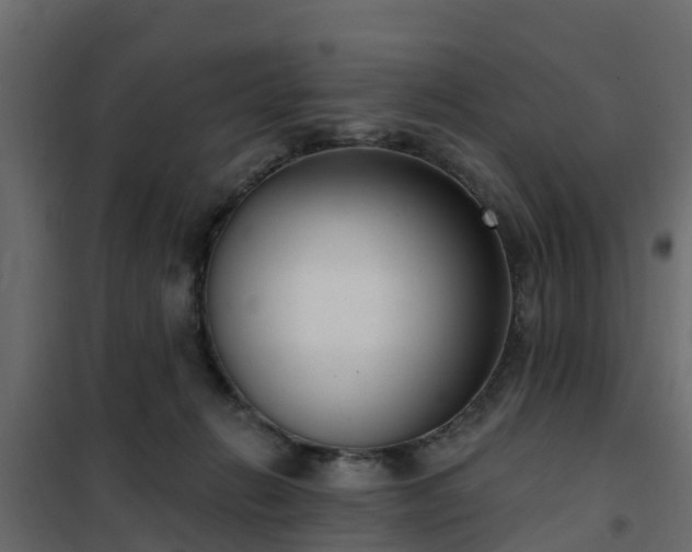 X0000102350270200808081201