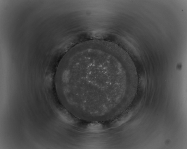 X0000102350271200808081201