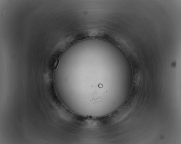 X0000102350272200808081201