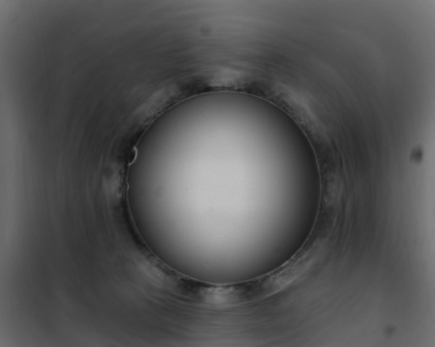 X0000102350273200808081201