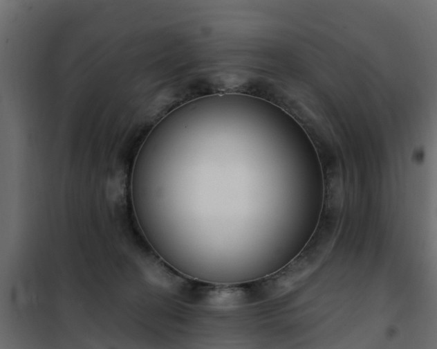 X0000102350274200808081201