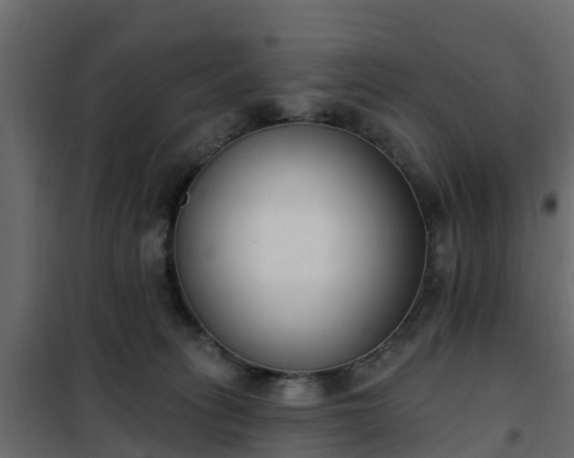 X0000102350275200808081201