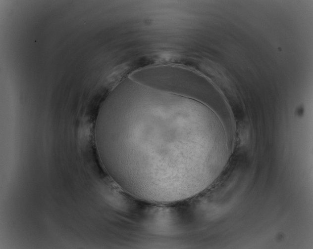 X0000102350276200808081201