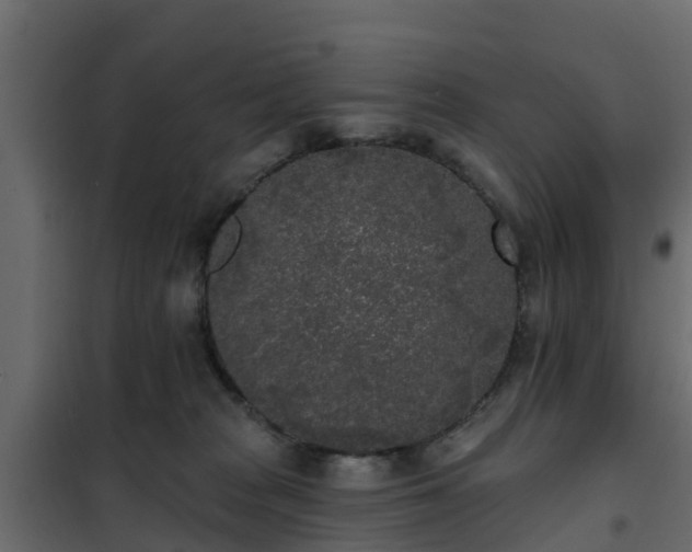 X0000102350277200808081201