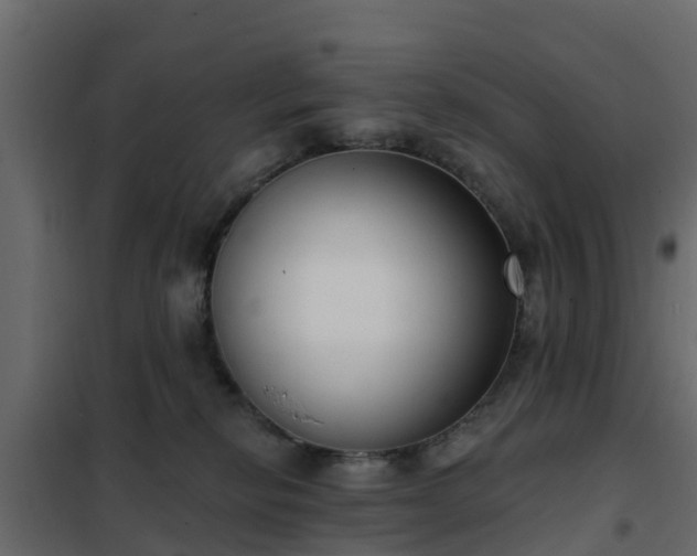 X0000102350278200808081201