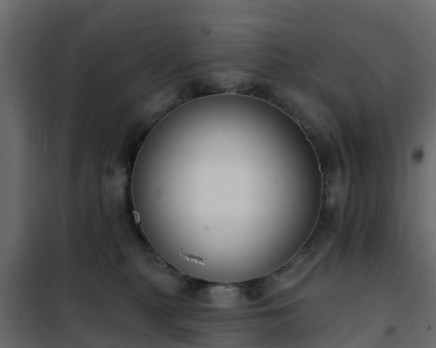 X0000102350279200808081201