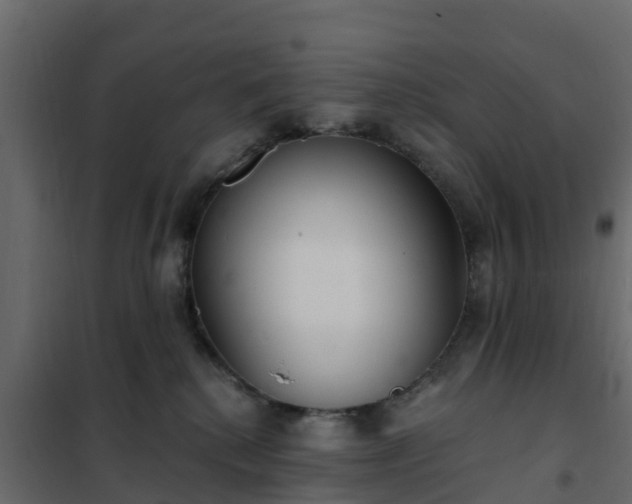 X0000102350280200808081201