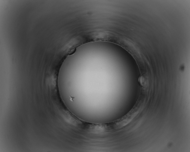 X0000102350282200808081201