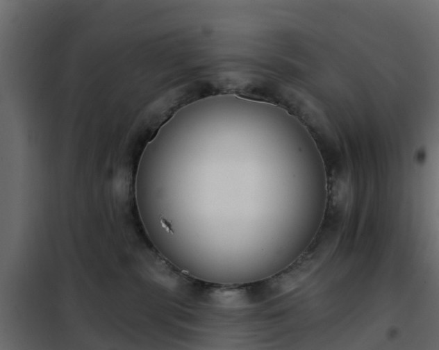 X0000102350283200808081201