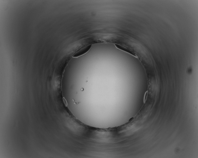 X0000102350284200808081201