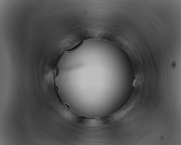 X0000102350286200808081201