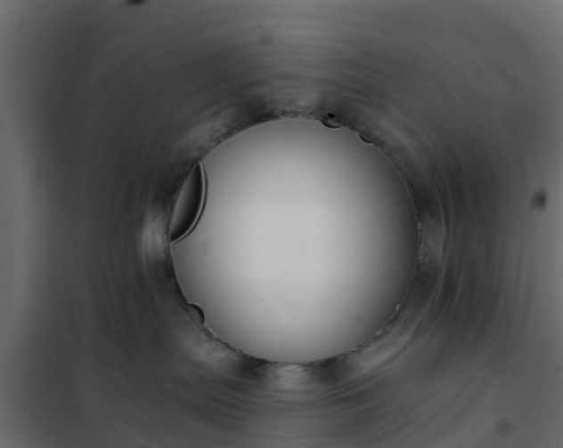 X0000102350287200808081201